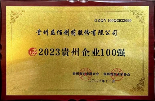 2023貴州企業(yè)100張_副本.jpg